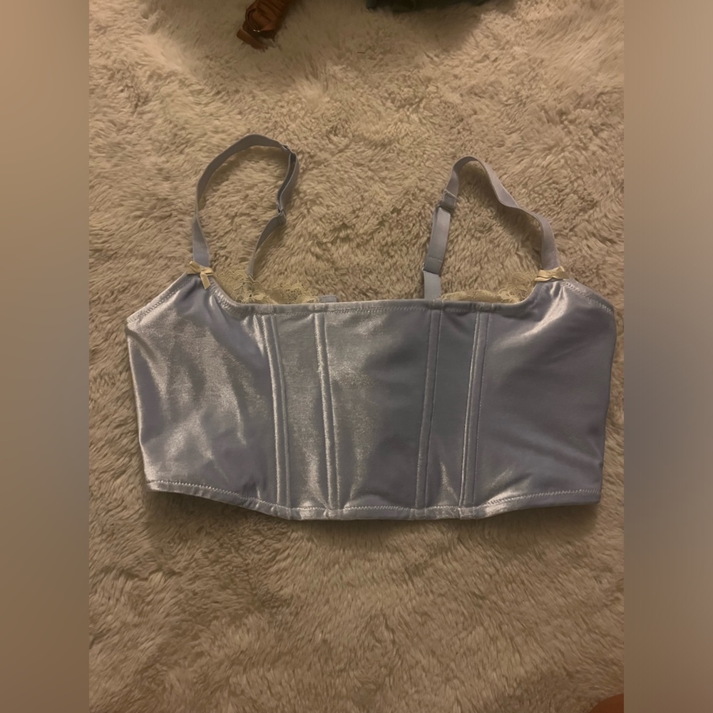 SKIMS blue velvet corset